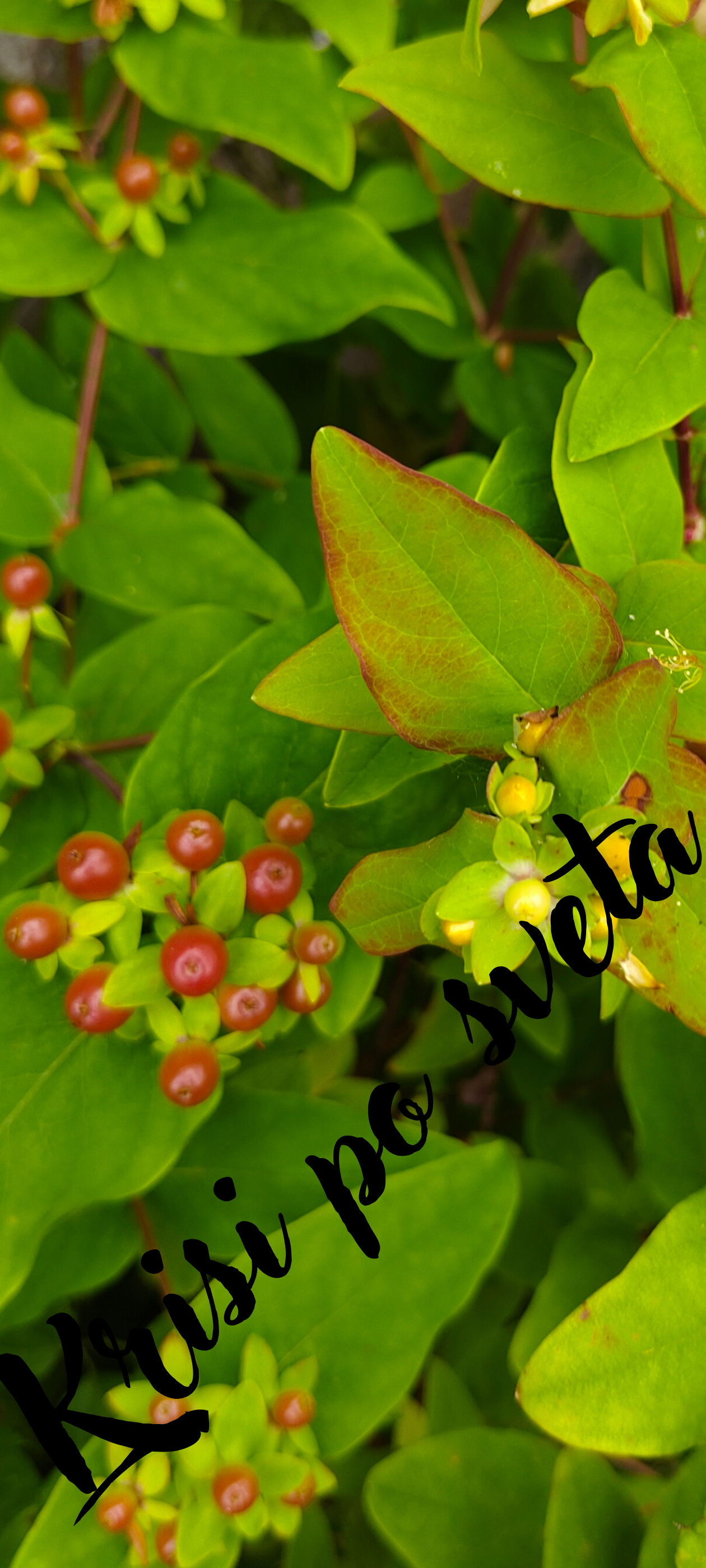 Saint John — The Magic of the Three Colors — Digital Photography