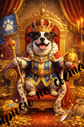 Alfie the King | Alfie Kral