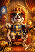 Alfie King