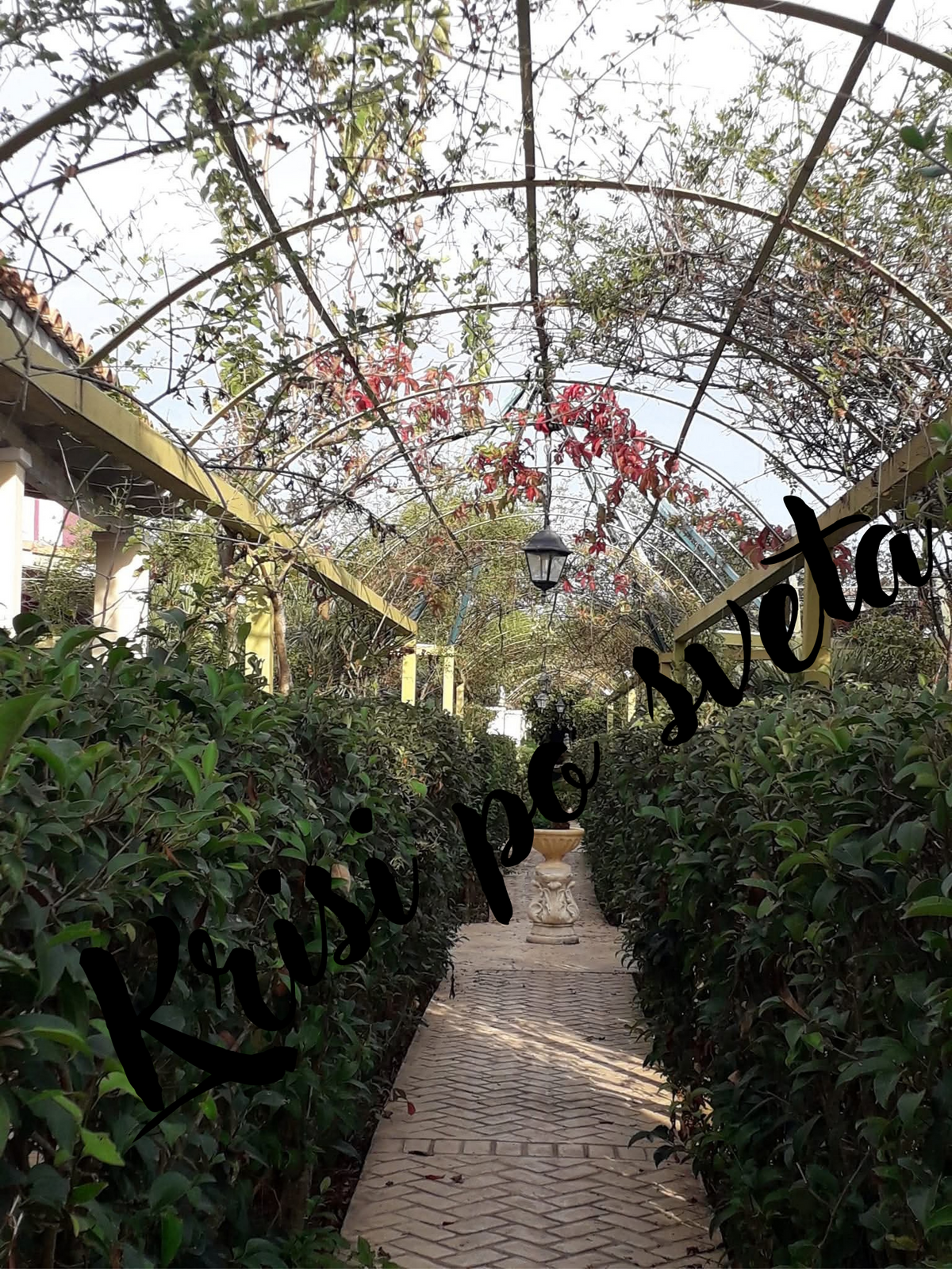 Garden path under green arches in Greece | Digital photo