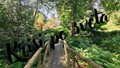 Wooden Bridge in the Forest – Path to the Unknown | Digital Print