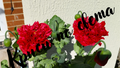 Double red poppies - a field flower