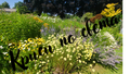 Summer Wildflower Garden – Fine Art Printable