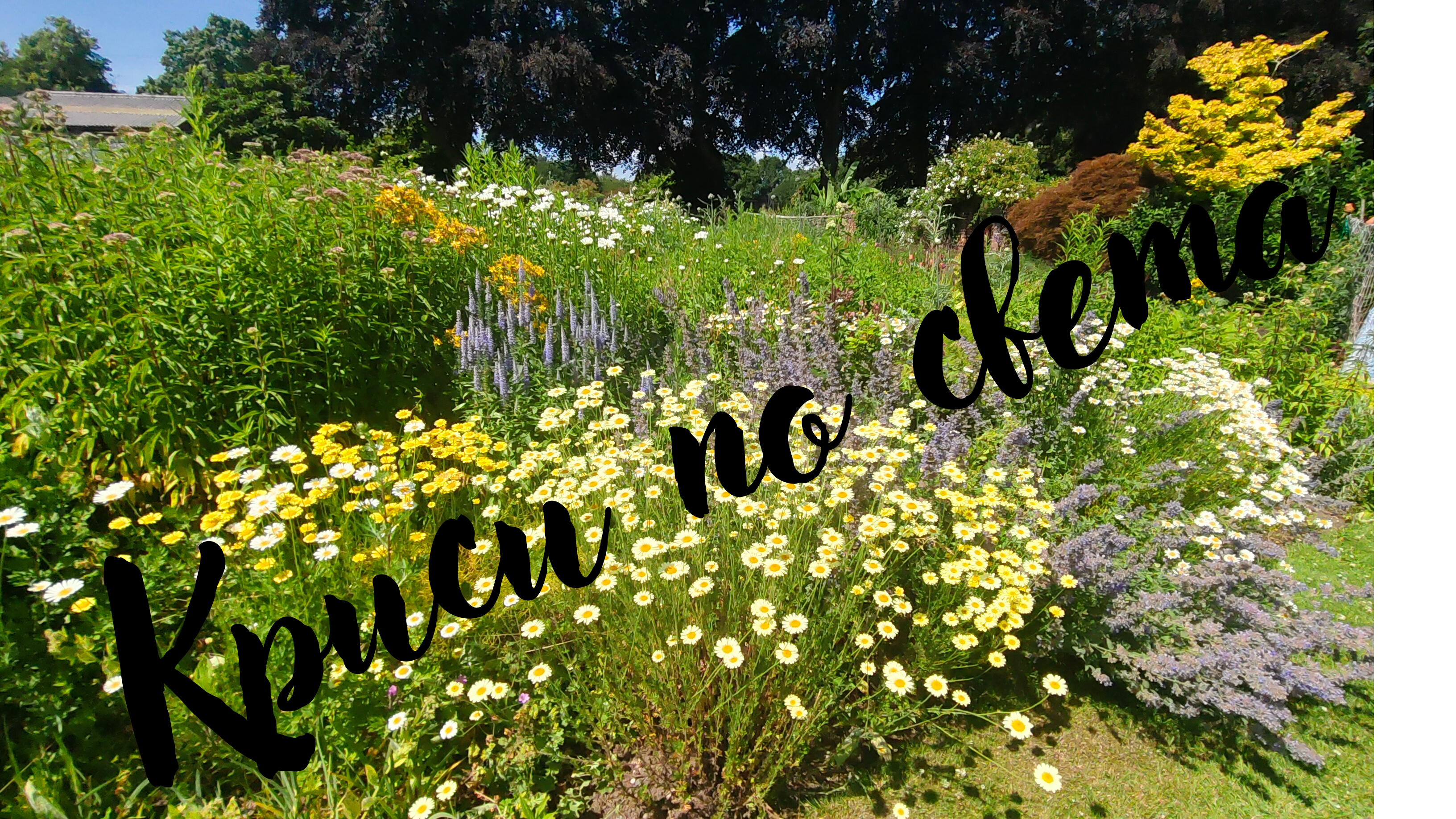 Summer Wildflower Garden – Fine Art Printable