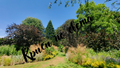 Garden path among trees