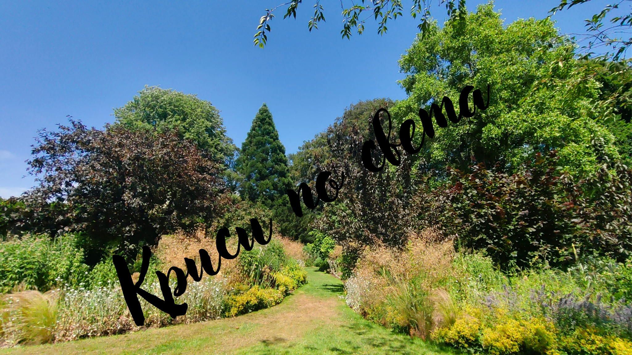 Garden path among trees