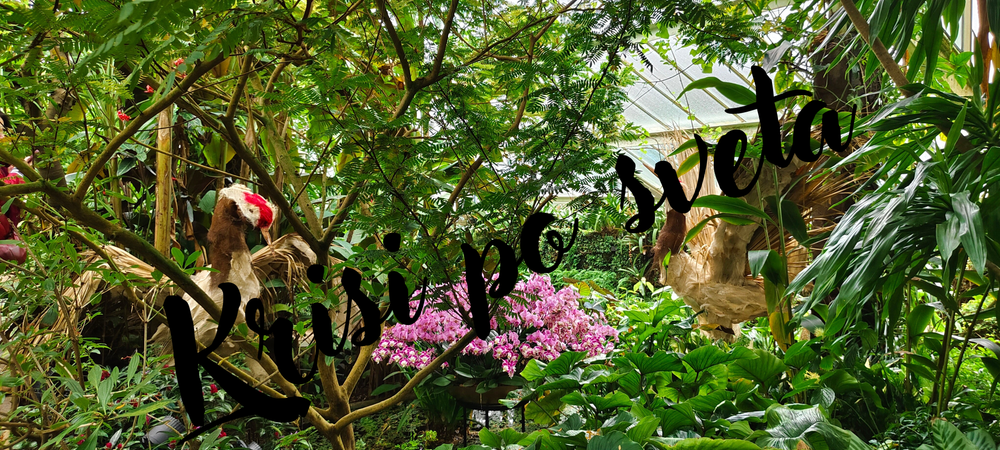 Tropical Parrot House – Kew Gardens, London